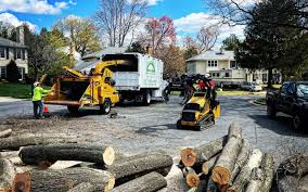 Best Hazardous Tree Removal  in Blue Rapids, KS